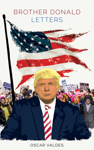 Brother Donald Letters Book Cover small